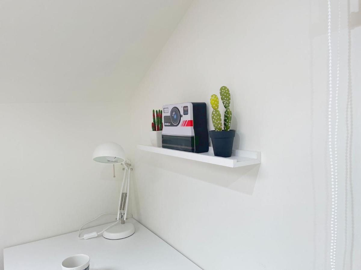 Apartamento Milo Ordono 莱昂 外观 照片